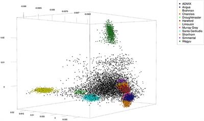 On Estimation of Genome Composition in Genetically Admixed Individuals Using Constrained Genomic Regression